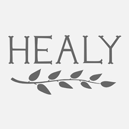 Healy Guitars