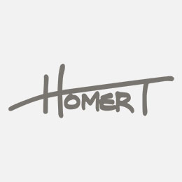 Homer T Guitars