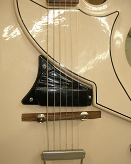 Custom Shop Sample Image